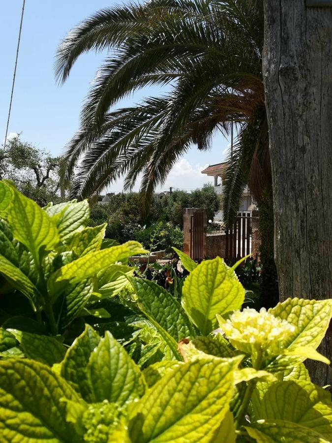 Residenza Aurora Aparthotel Ostuni Luaran gambar